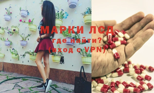 спиды Аркадак