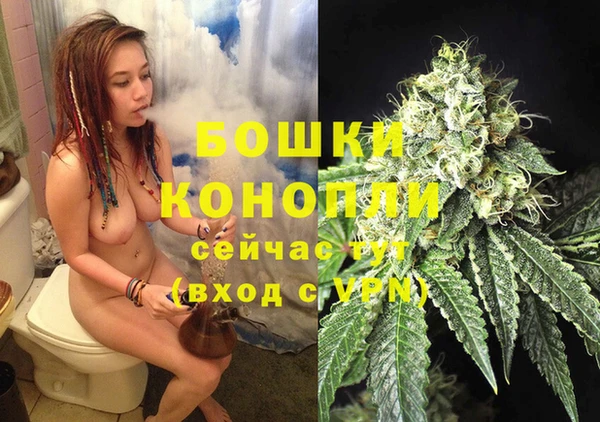 спиды Аркадак