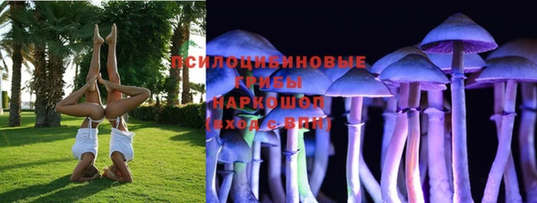 спиды Аркадак