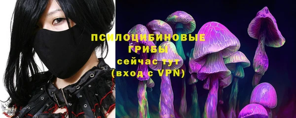 спиды Аркадак