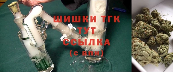 спиды Аркадак